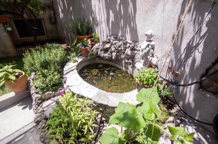 Apartmani Marko Makarska Esterno foto